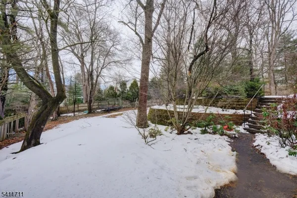 a view of outdoor space with trees