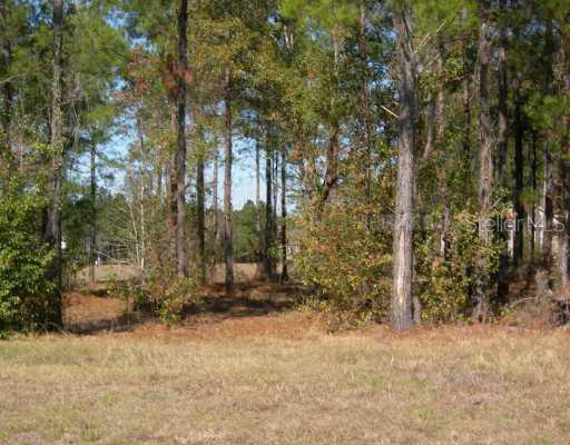 Summit View Brooksville, FL 34601 - Photo 1 of 1 Exterior Front