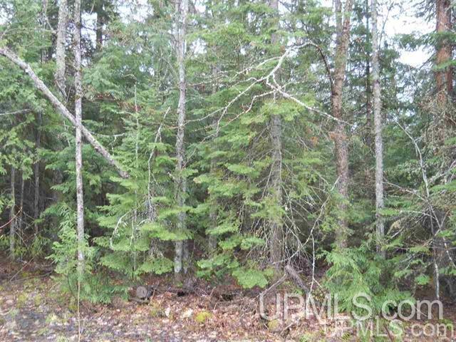 16 North Section 16 Road Covington, MI 49919 - Photo 2 of 5