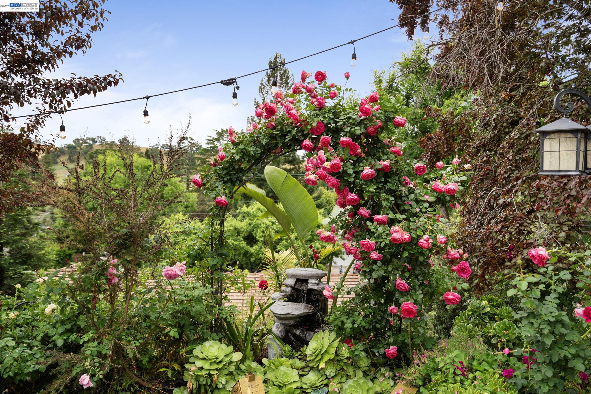 656 La Vista Road Walnut Creek, CA 94598 - Photo 59 of 68