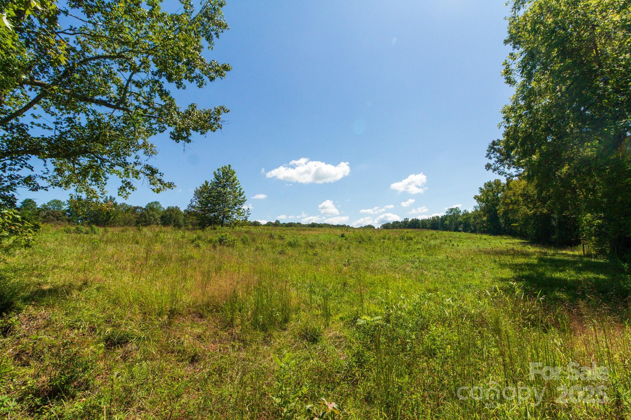 2237 Ellis Road Shelby, NC 28152 - Photo 6 of 12 a view of a lake with a yard