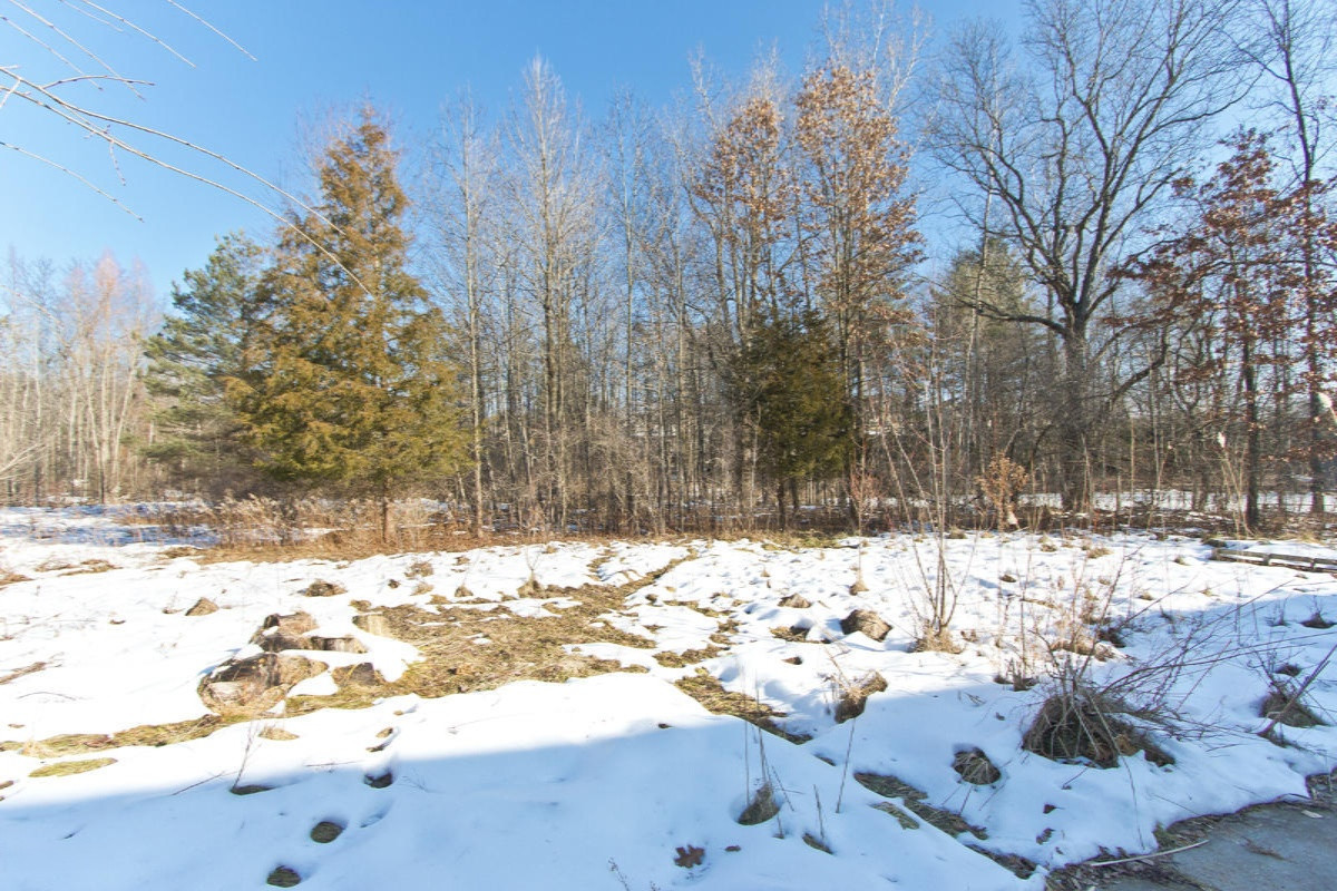 5563 Cascade Road Southeast Grand Rapids, MI 49546 - Photo 52 of 57 054 back yard - IMG_0086