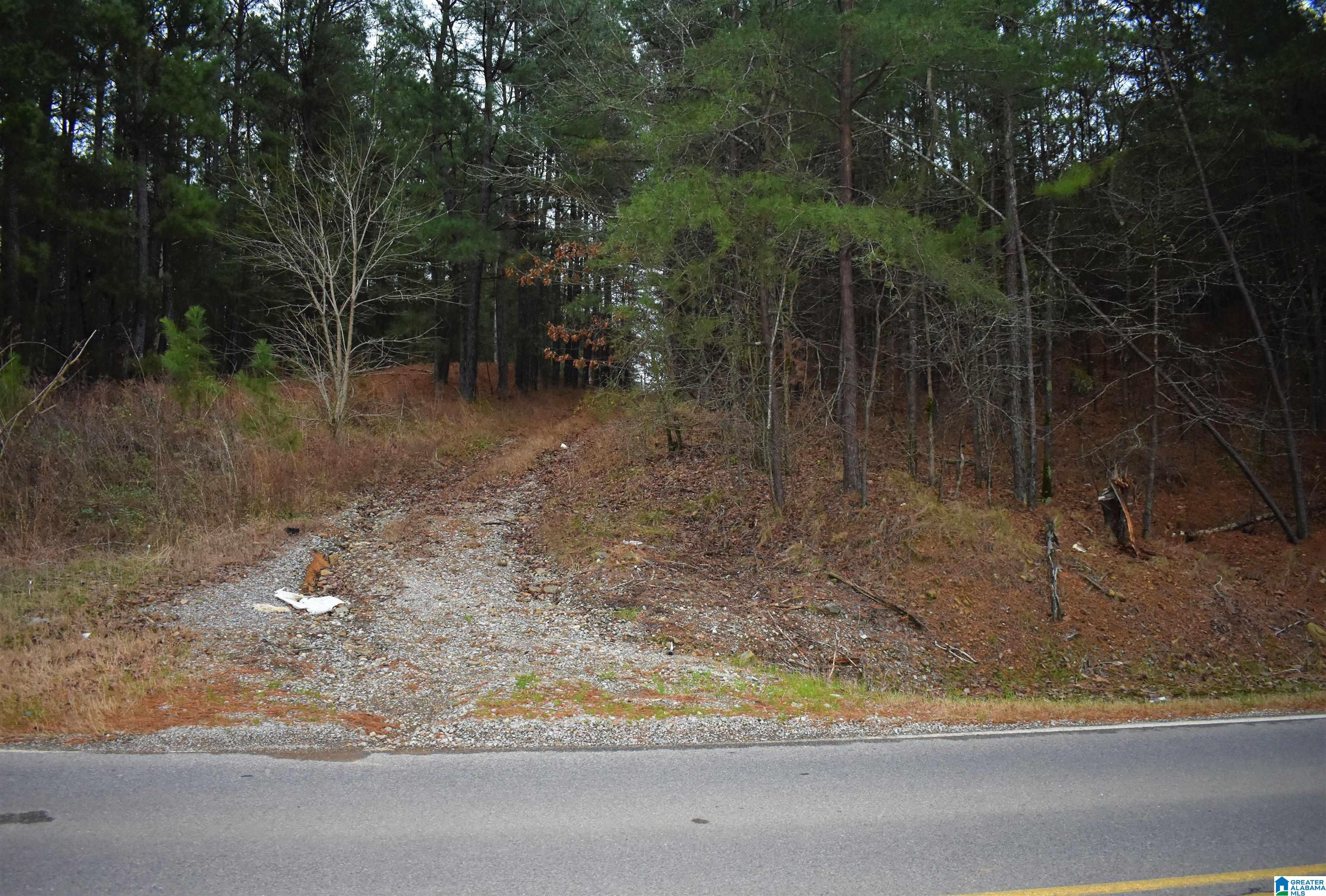 4979 Mt Olive Road Gardendale, AL 35071 - Photo 2 of 2