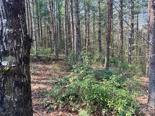 $79,900 | 2494 Ivy Rays Way, Unit 41, Nebo, NC 28761