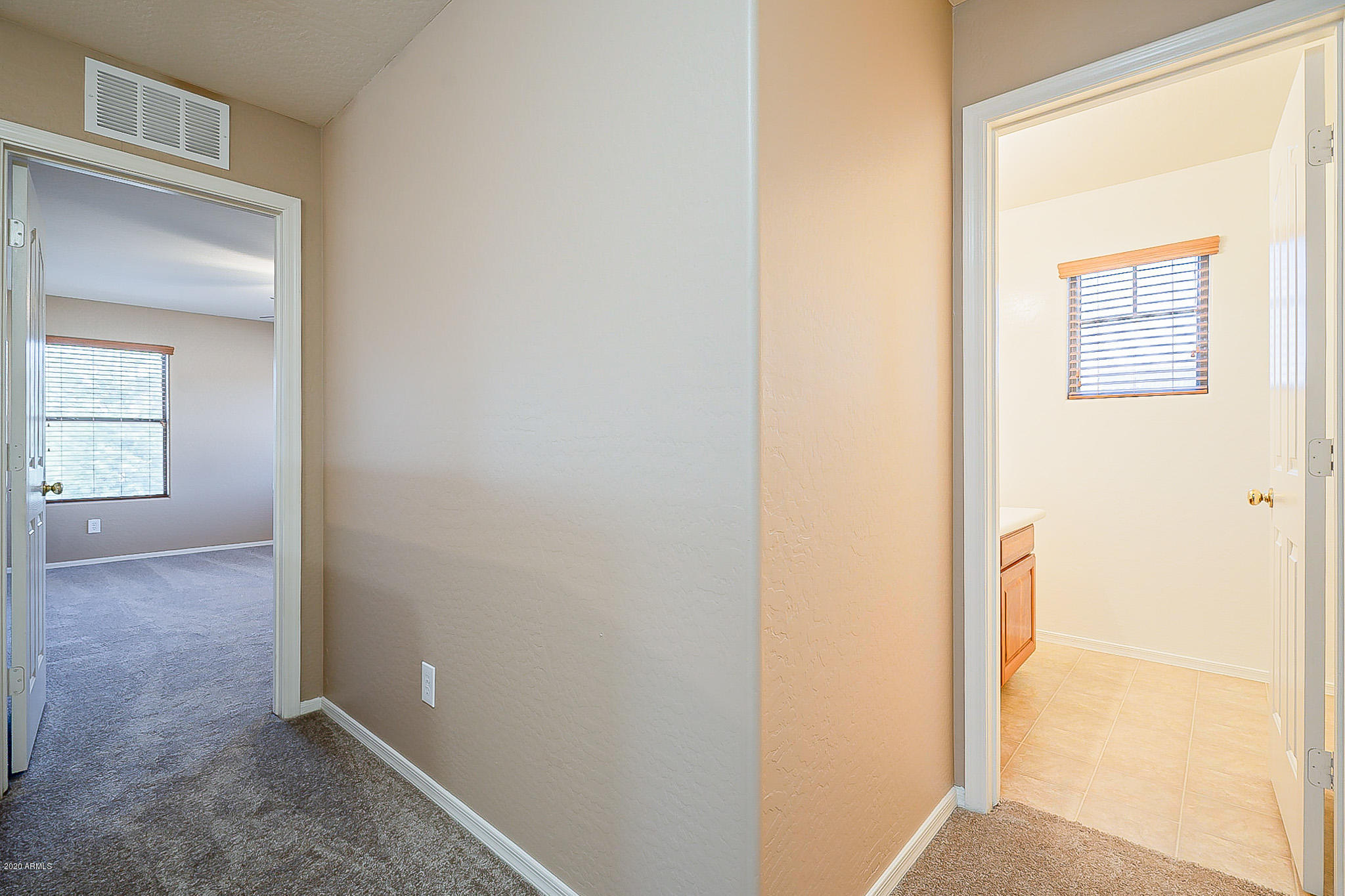 15675 West Cameron Drive Surprise, AZ 85379 - Photo 76 of 95 Cameron-69
