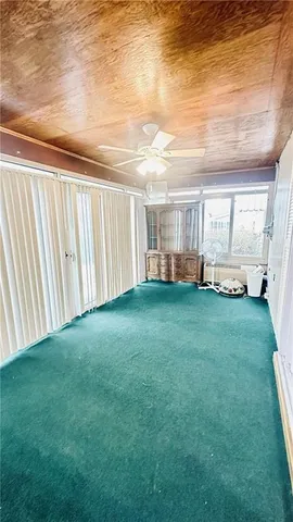 a view of a backyard with plants and a garden