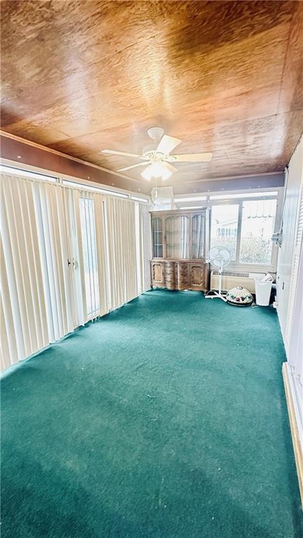 840 Meadow Avenue Monaca, PA 15061 - Photo 8 of 24 a view of a backyard with plants and a garden