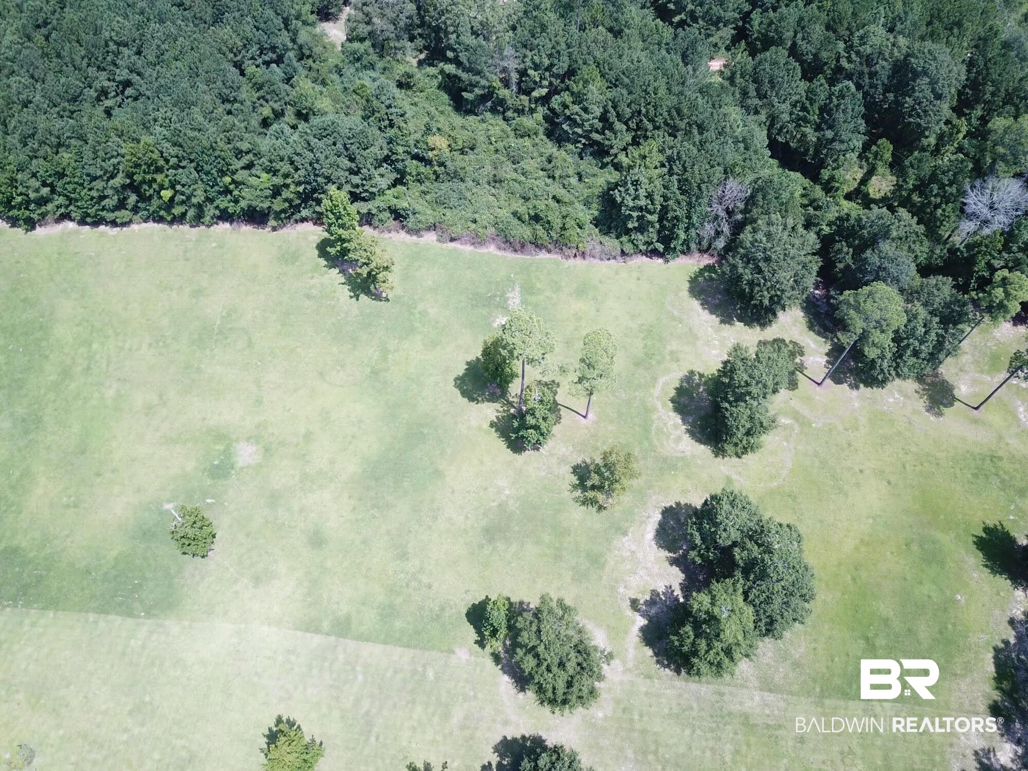 0 Old Castleberry Road Brewton, AL 36426 - Photo 4 of 9 Bird's eye view