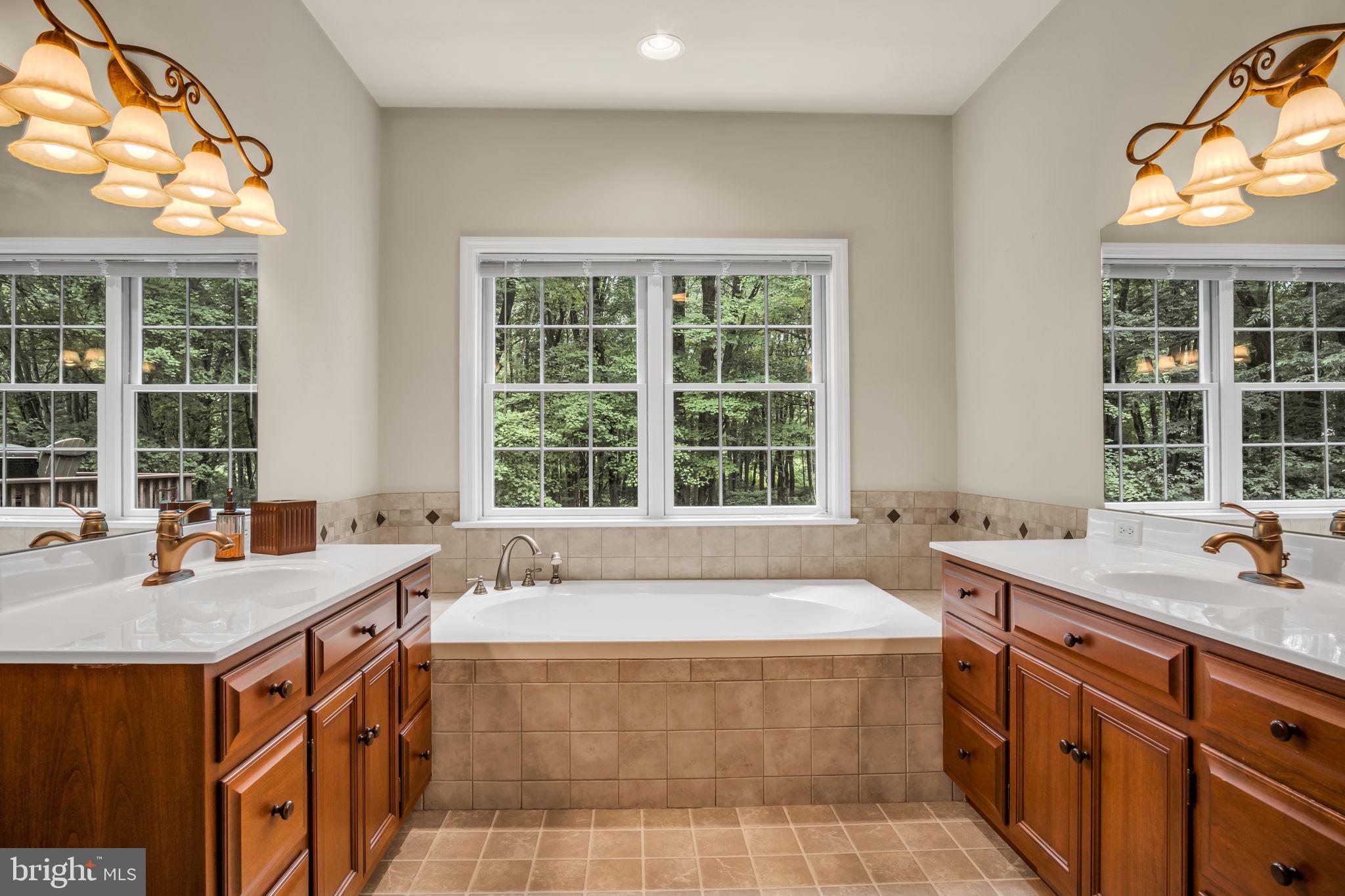 362 Aberdeen Road Elizabethtown, PA 17022 - Photo 17 of 67 a bath tub sitting in a bathroom next to a window