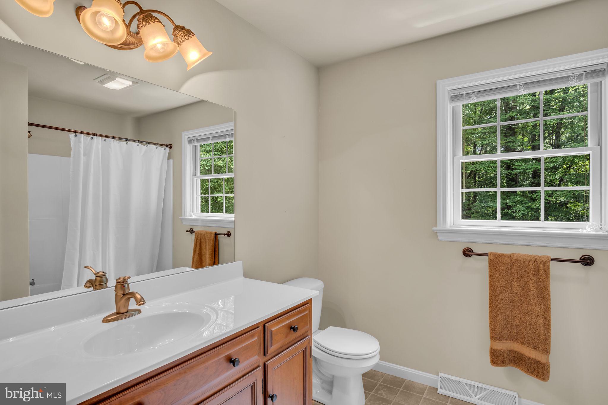 362 Aberdeen Road Elizabethtown, PA 17022 - Photo 22 of 67 a bathroom with a sink a toilet and a window