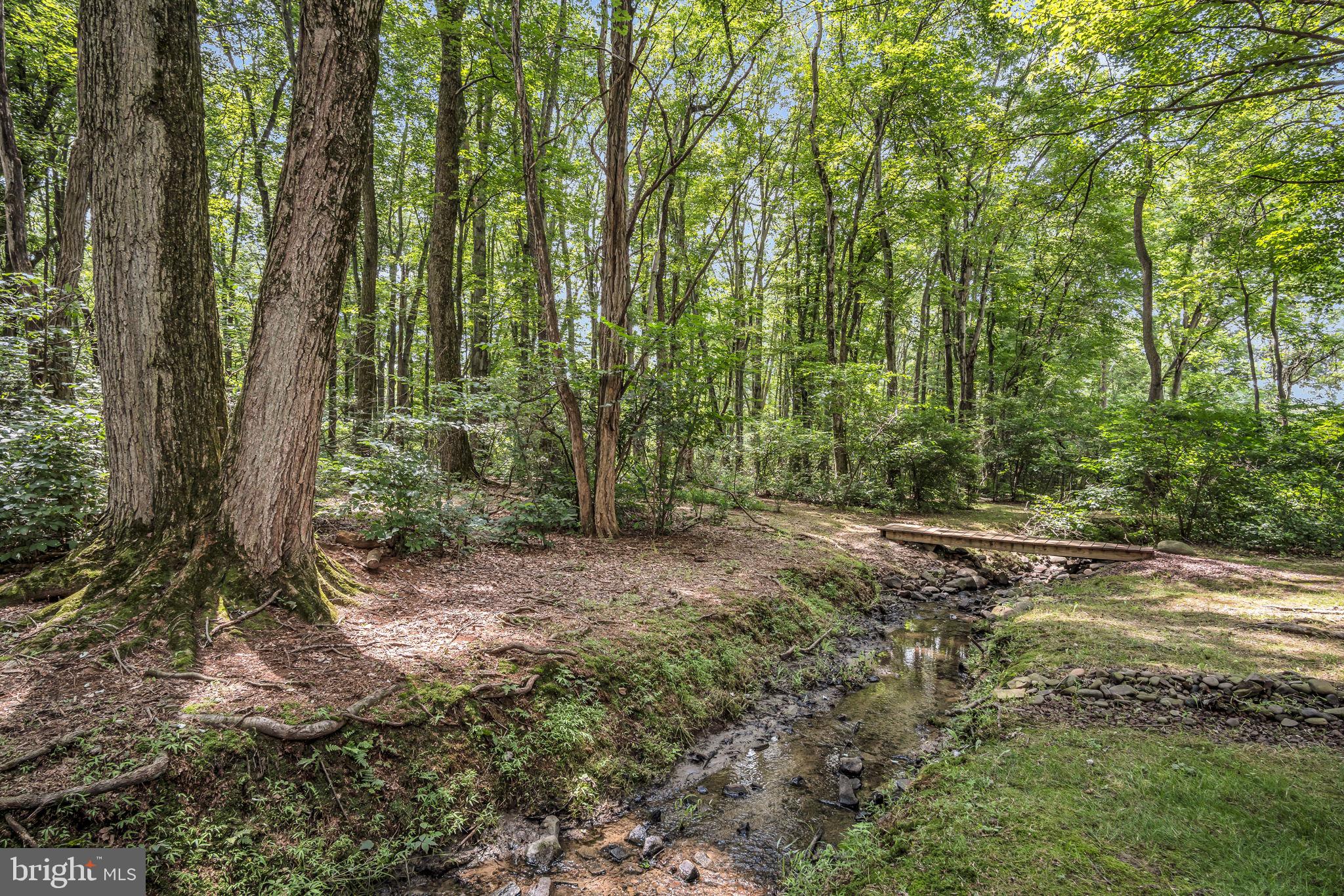 362 Aberdeen Road Elizabethtown, PA 17022 - Photo 42 of 67 a view of a forest with trees in the background