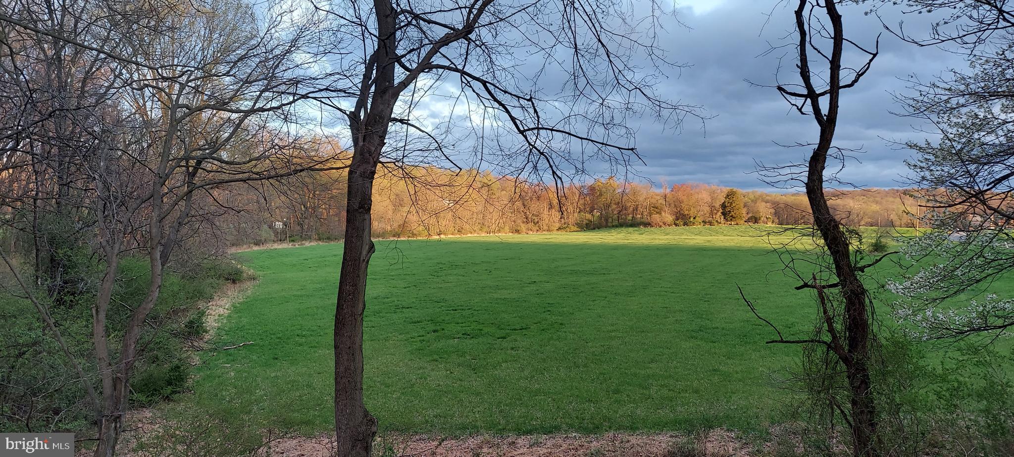 362 Aberdeen Road Elizabethtown, PA 17022 - Photo 64 of 67 a backyard of a house with lots of green space