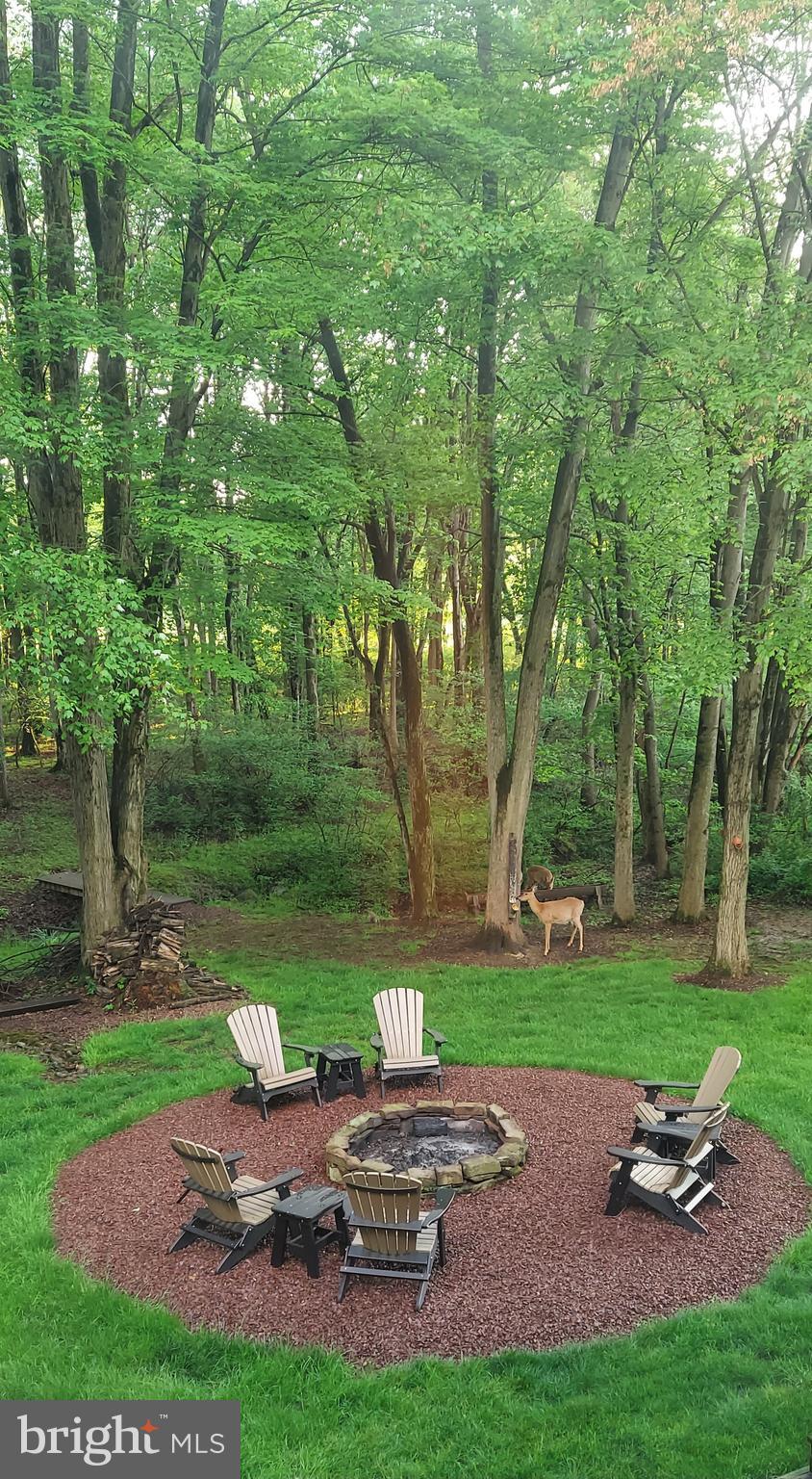 362 Aberdeen Road Elizabethtown, PA 17022 - Photo 66 of 67 a view of backyard with table and chairs potted plants and large trees
