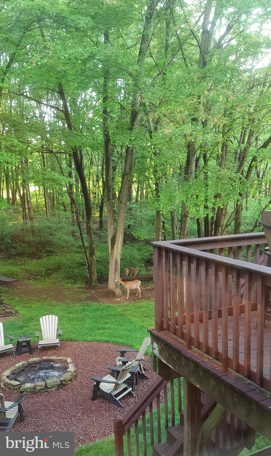 362 Aberdeen Road Elizabethtown, PA 17022 - Photo 67 of 67 a view of a backyard with wooden floor and a yard