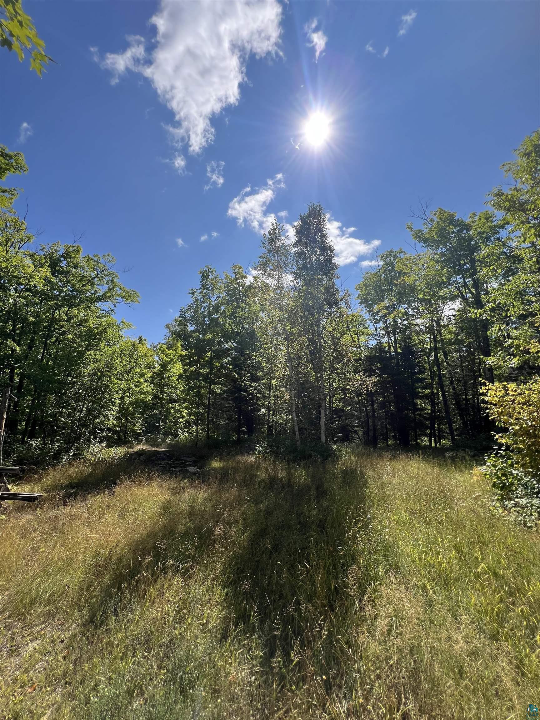 5076 Heffelfinger Road Finland, MN 55603 - Photo 27 of 40 Gallery Image 27