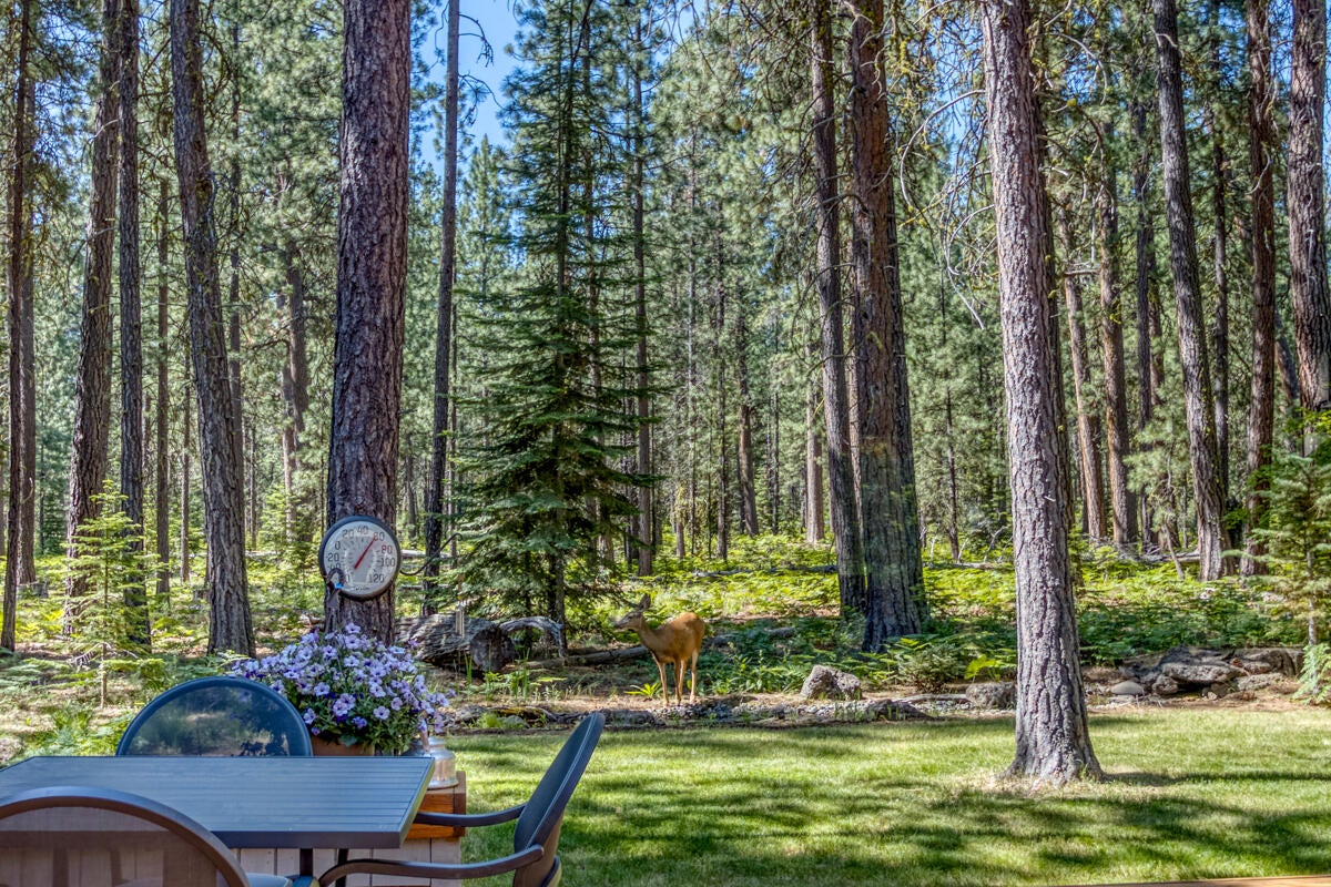13461 Hawks Beard, Unit SH43 Black Butte Ranch, OR 97759 - Photo 47 of 58 CREP0319