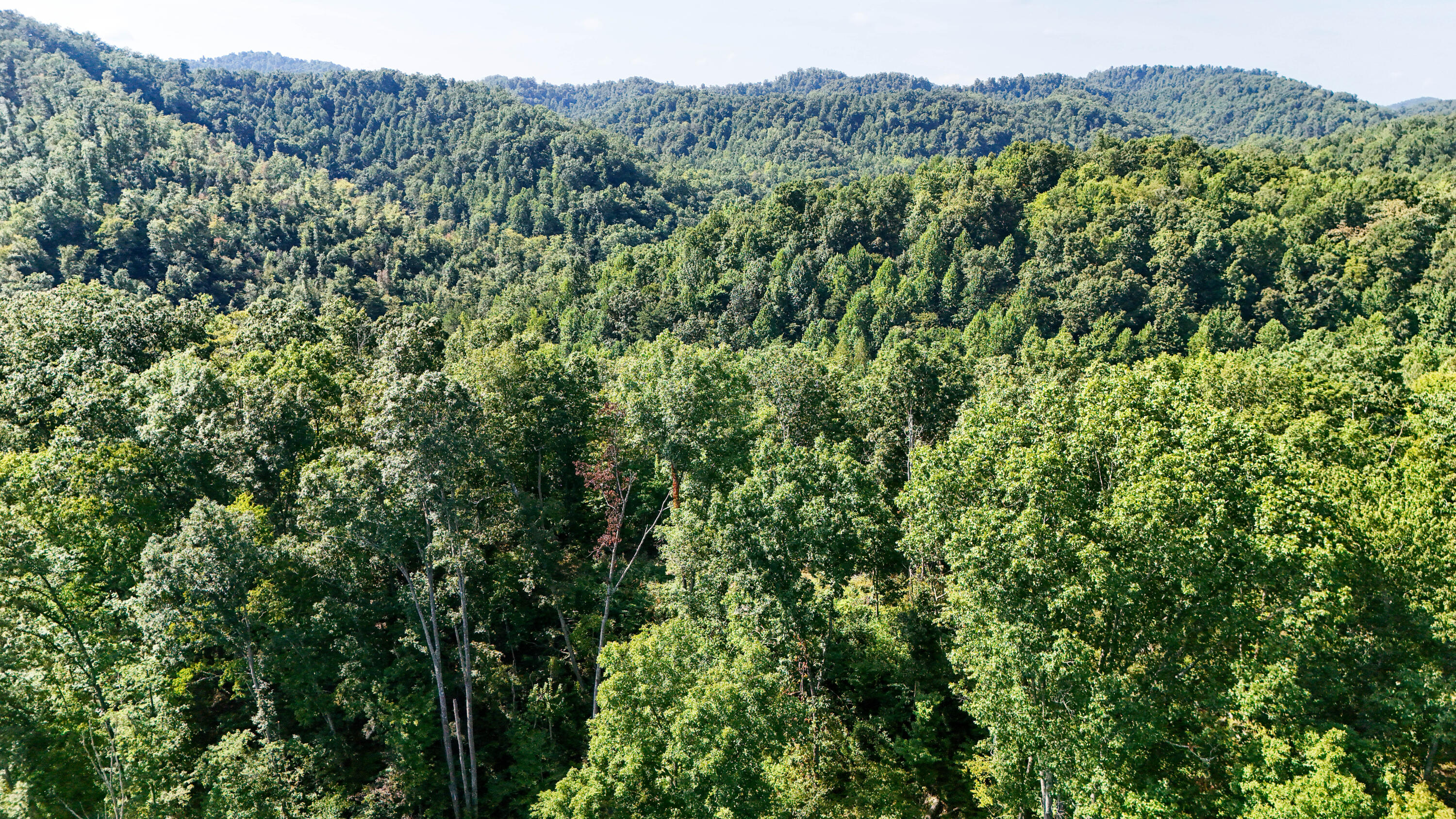 0 Hogskin Road Manchester, KY 40962 - Photo 9 of 25 LightroomRealEstateEdits-7