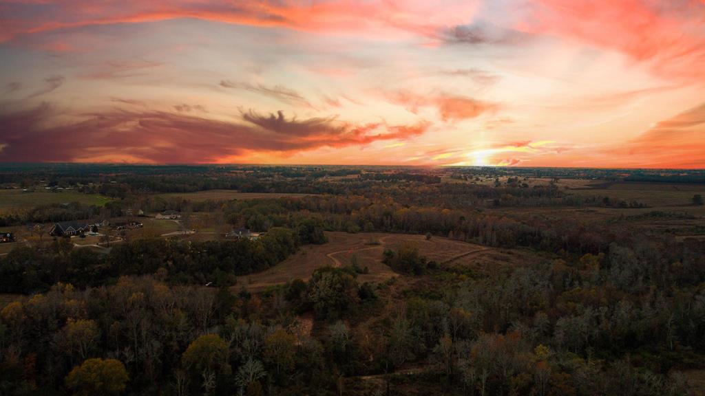 0 Gilmore Road Dothan, AL 36305 - Photo 1 of 7
