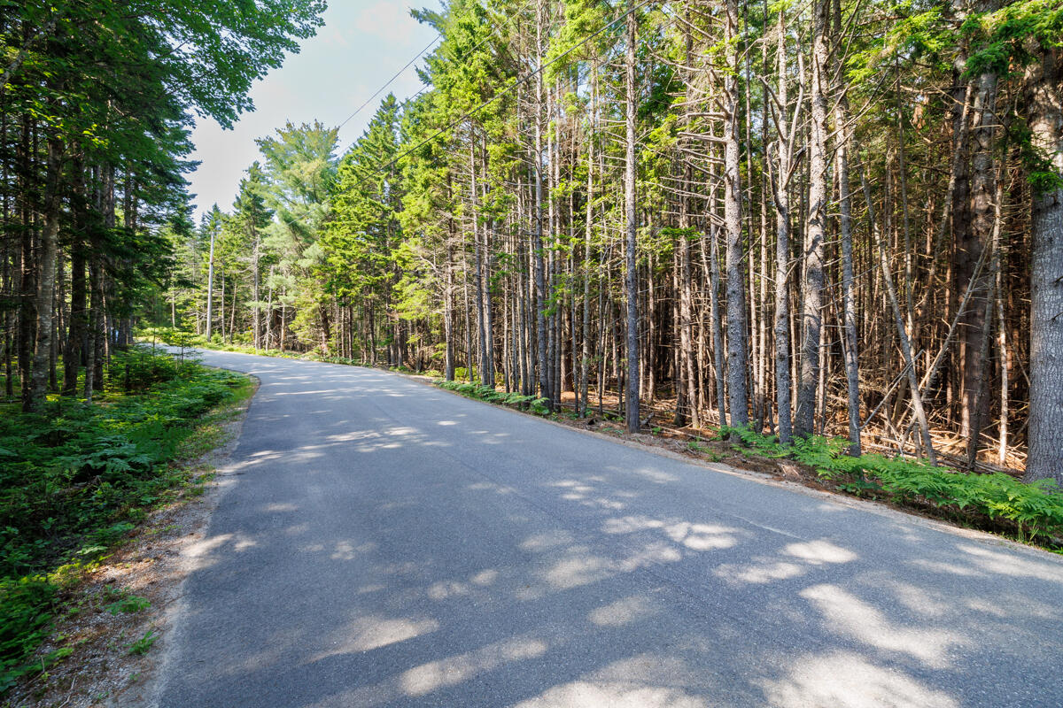 Lot 20 Paul Bunyan Road Corea, ME 04624 - Photo 10 of 12 5-Paul Bunyan Road Land LoRes-DTP