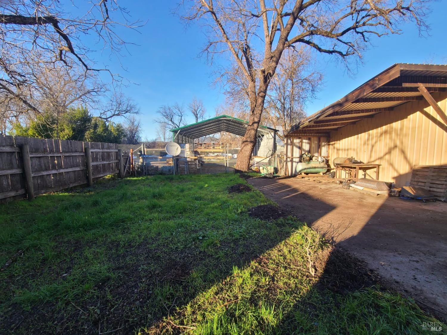 76440 Covelo Road Covelo, CA 95428 - Photo 13 of 19 a view of a yard with a large tree