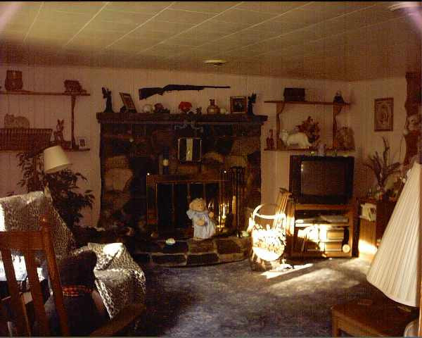 106 Varville Road Petersburgh, NY 12138 - Photo 8 of 12 Photo 8
