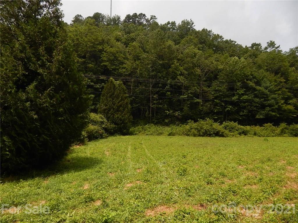 0 Frozen Creek Road Brevard, NC 28712 - Photo 1 of 8 a view of an outdoor space and a yard