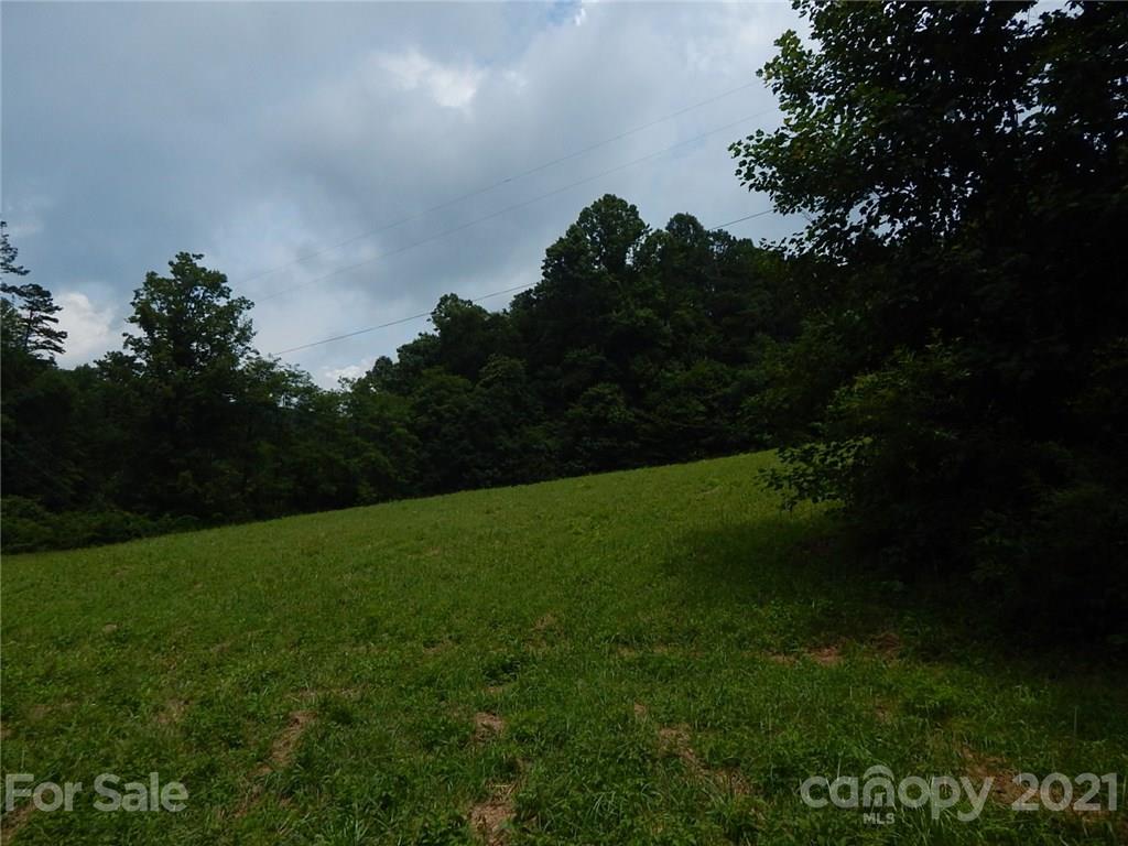 0 Frozen Creek Road Brevard, NC 28712 - Photo 2 of 8 a view of a field of grass and trees