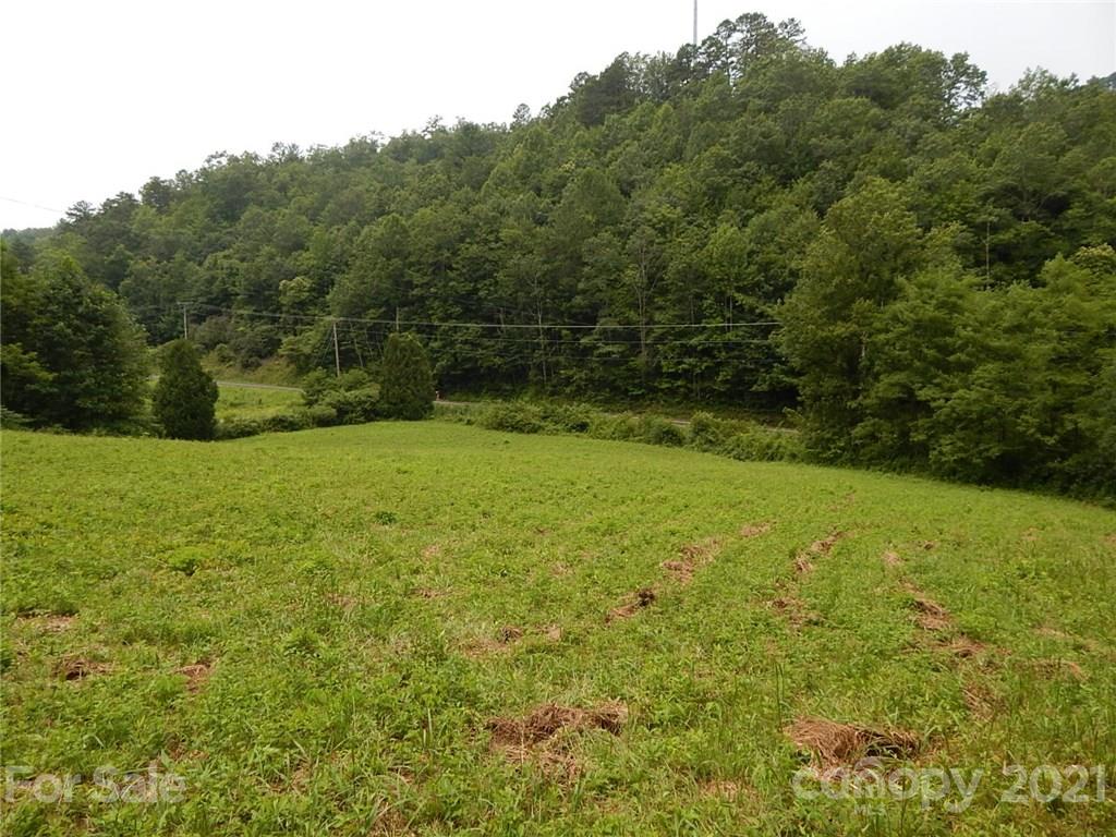 0 Frozen Creek Road Brevard, NC 28712 - Photo 3 of 8 a view of yard with green space