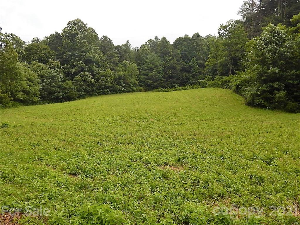 0 Frozen Creek Road Brevard, NC 28712 - Photo 4 of 8 a view of a field with an outdoor space