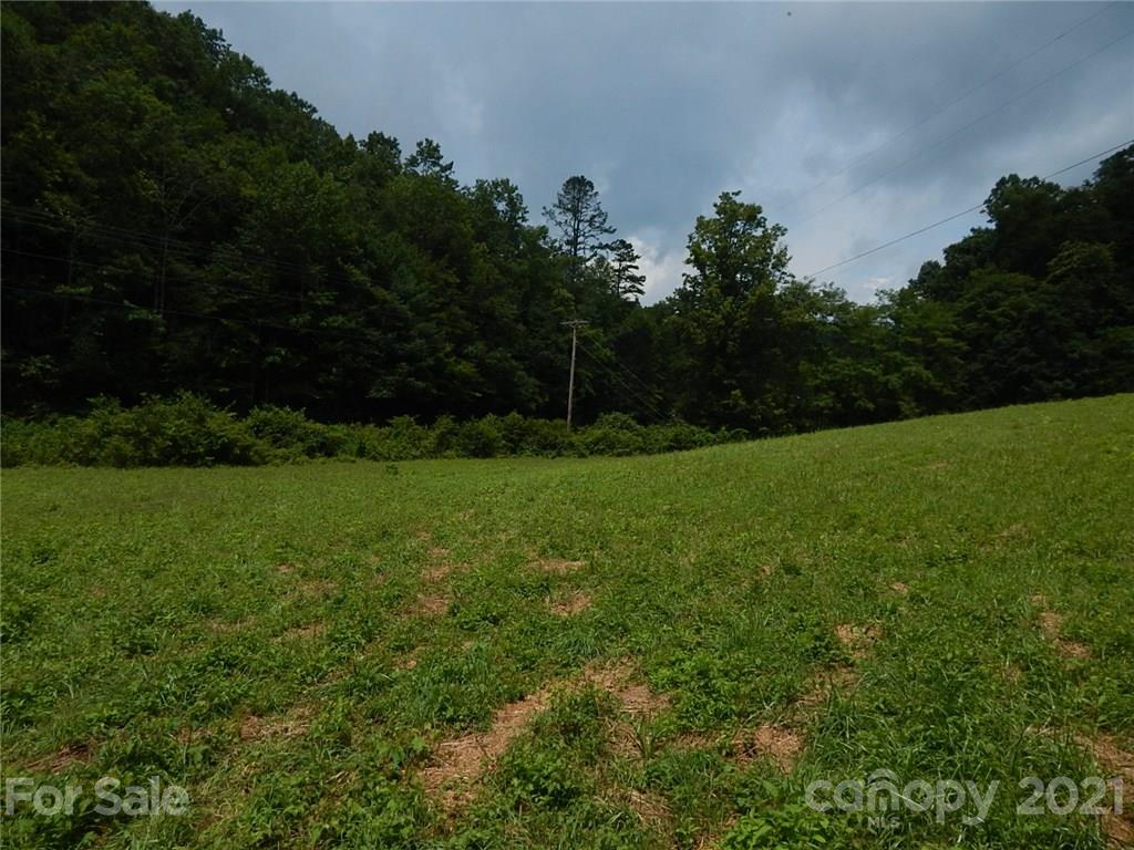 0 Frozen Creek Road Brevard, NC 28712 - Photo 6 of 8 a view of a field of grass and trees