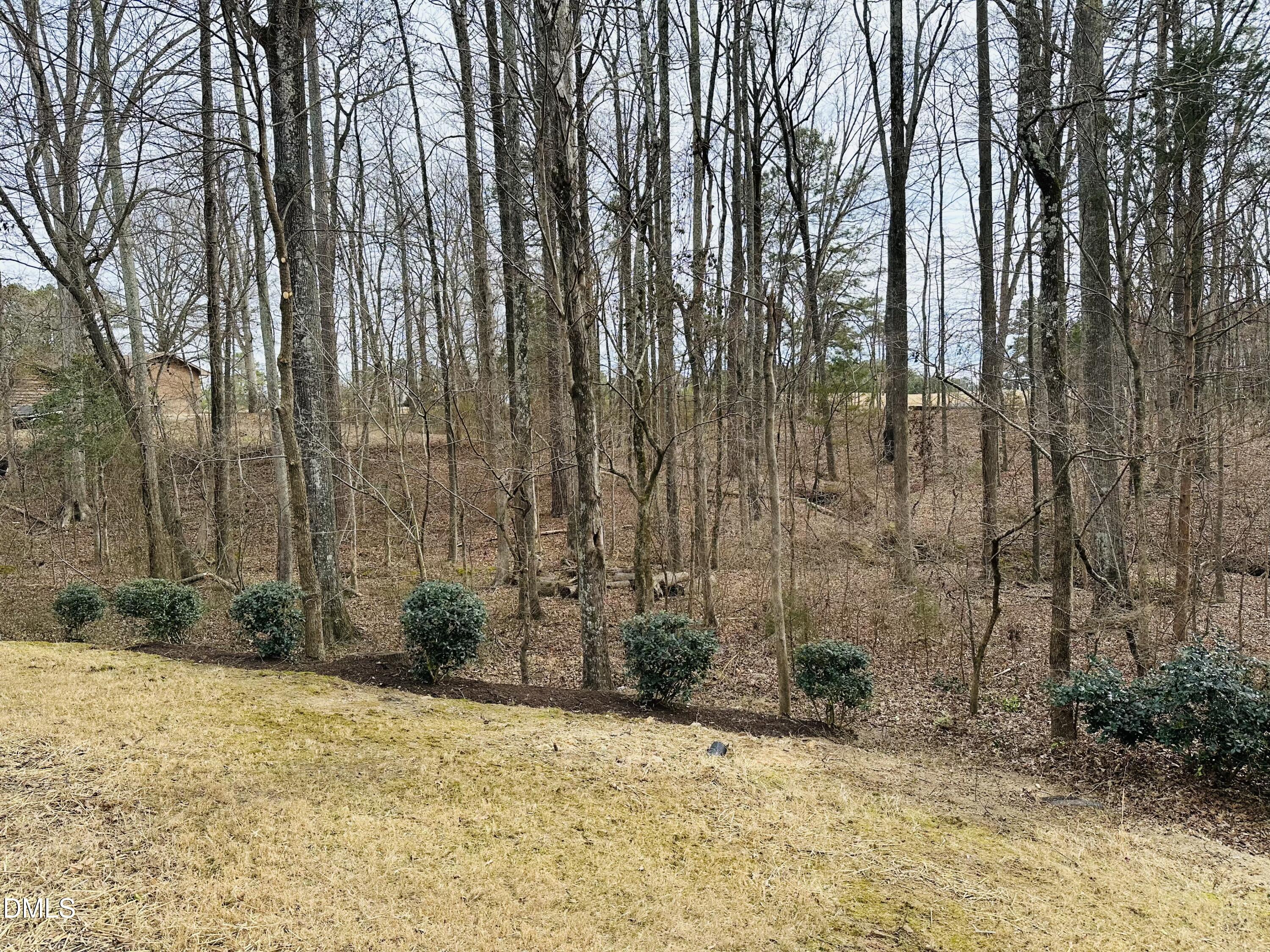 1037 Bender Ridge Drive Morrisville, NC 27560 - Photo 43 of 48 IMG_2054