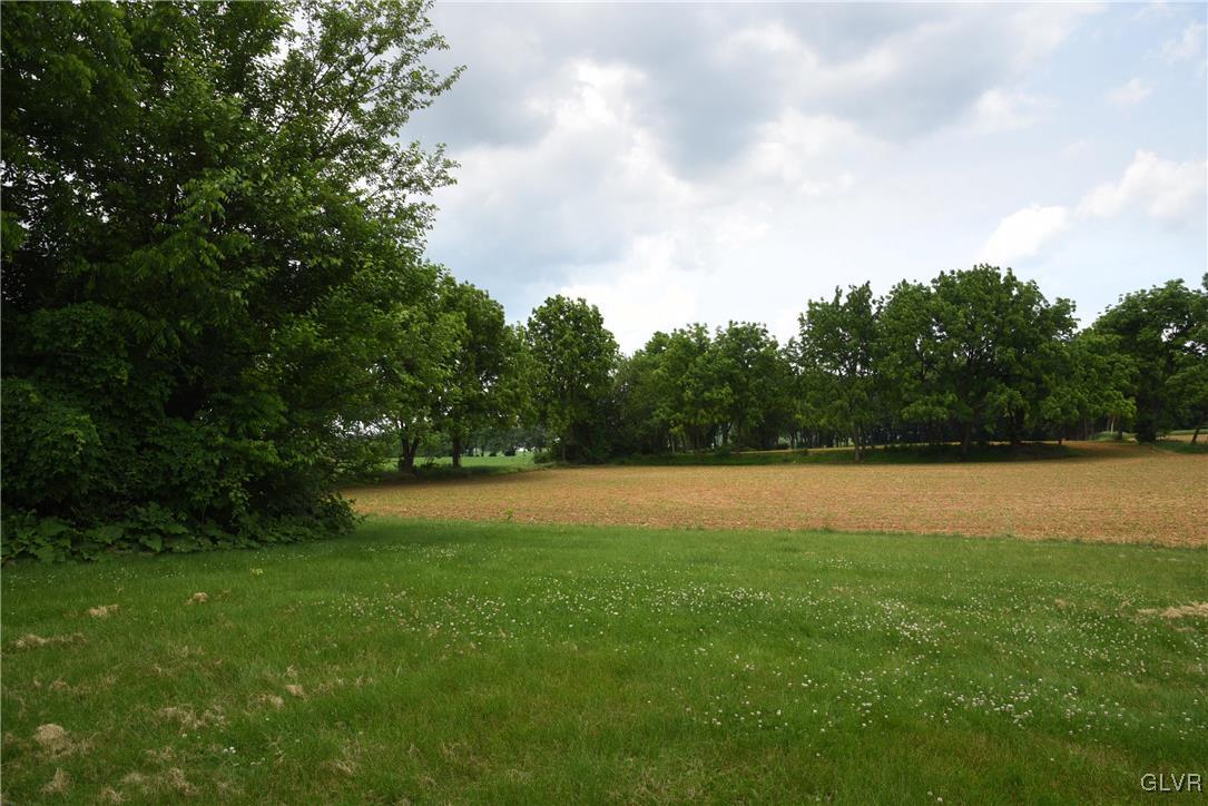 4036 Hollo Road Easton, PA 18045 - Photo 14 of 46 privacy abounds