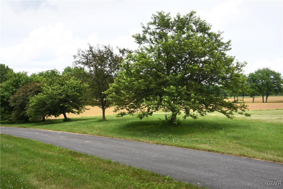 private road bordered by fruit trees and farmland