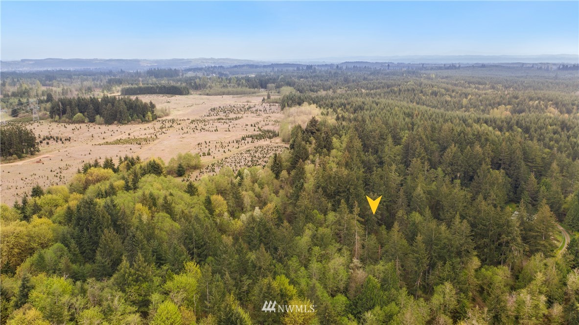 4645 140th Avenue Southwest Rochester, WA 98579 - Photo 3 of 10