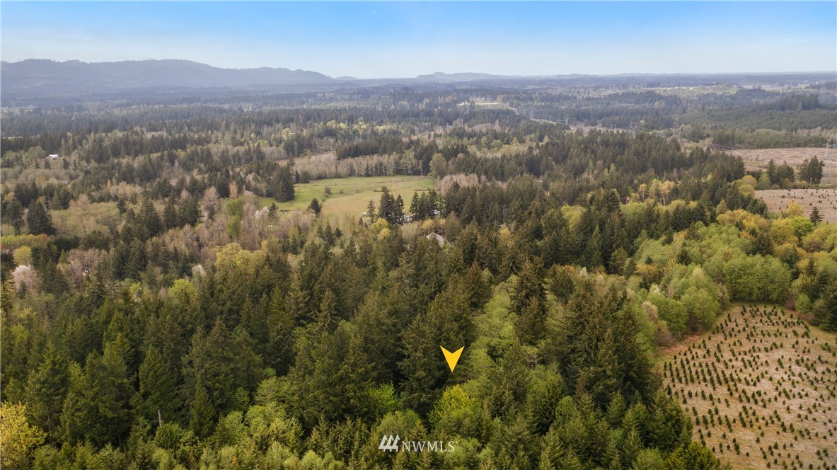 4645 140th Avenue Southwest Rochester, WA 98579 - Photo 4 of 10
