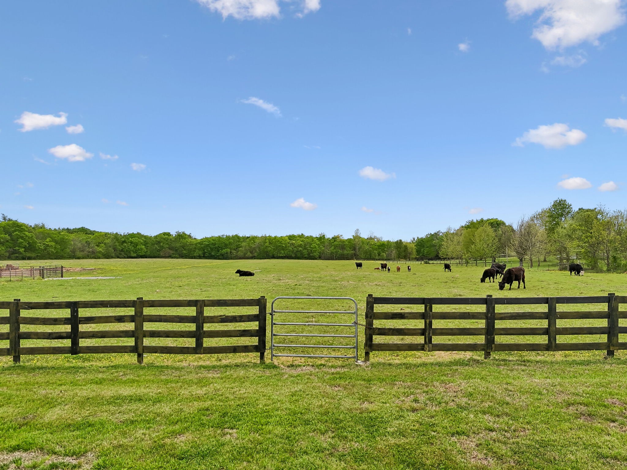 2575 Mt Vernon Road Chapel Hill, TN 37034 - Photo 1 of 41 Gallery Image 1