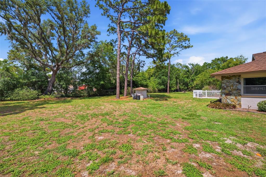 6403 Chiswick Court New Port Richey, FL 34655 - Photo 70 of 86