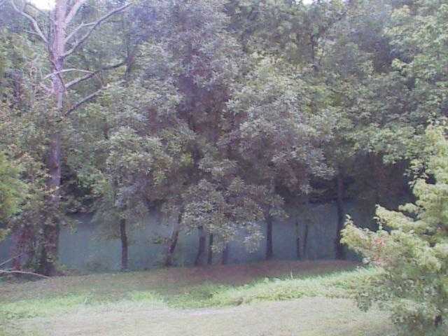 1042 Herd Road, Unit B Decatur, TN 37322 - Photo 3 of 6 Additional Photo