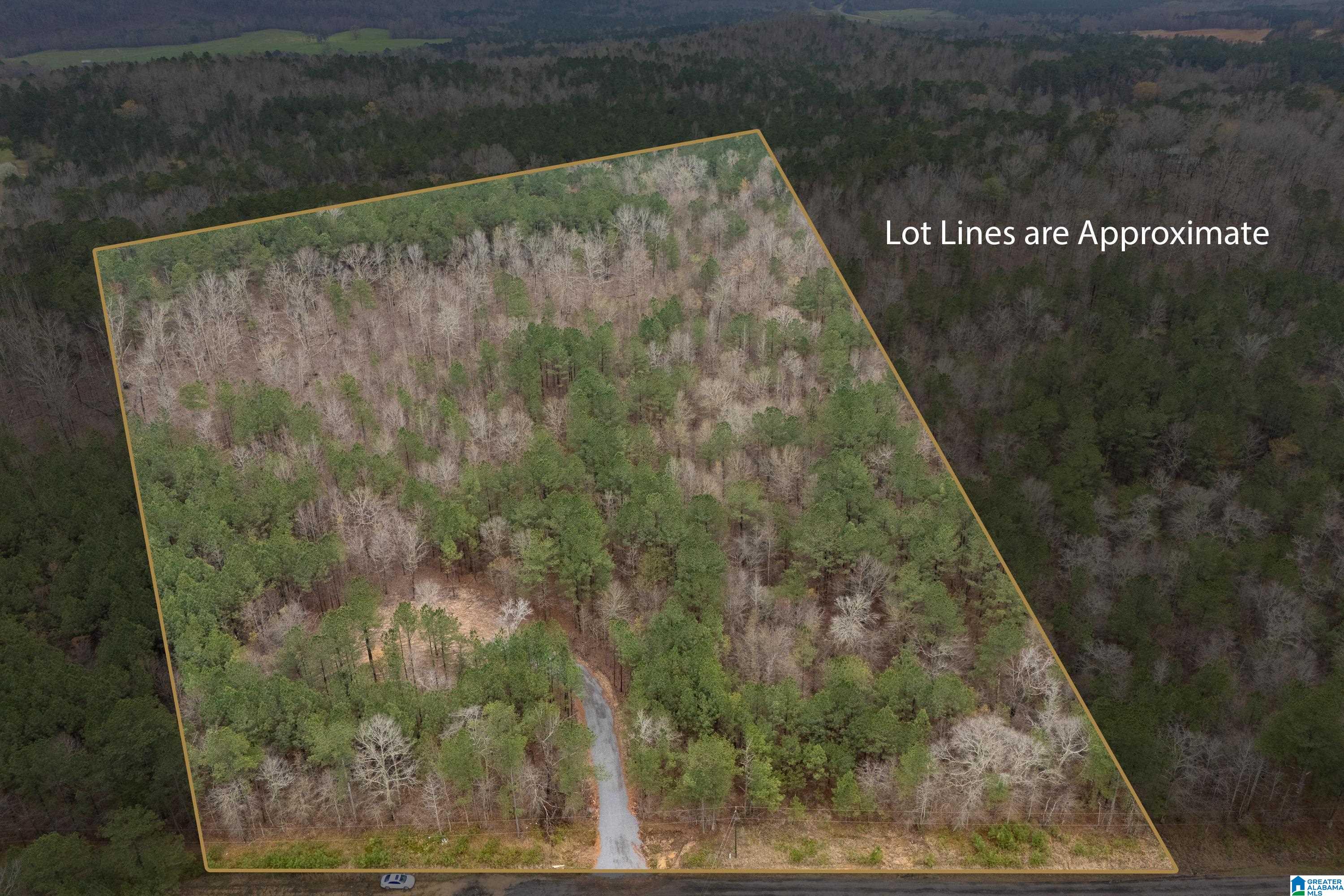 7 Fisher Phillips, Unit 7 Ashville, AL 35953 - Photo 3 of 28