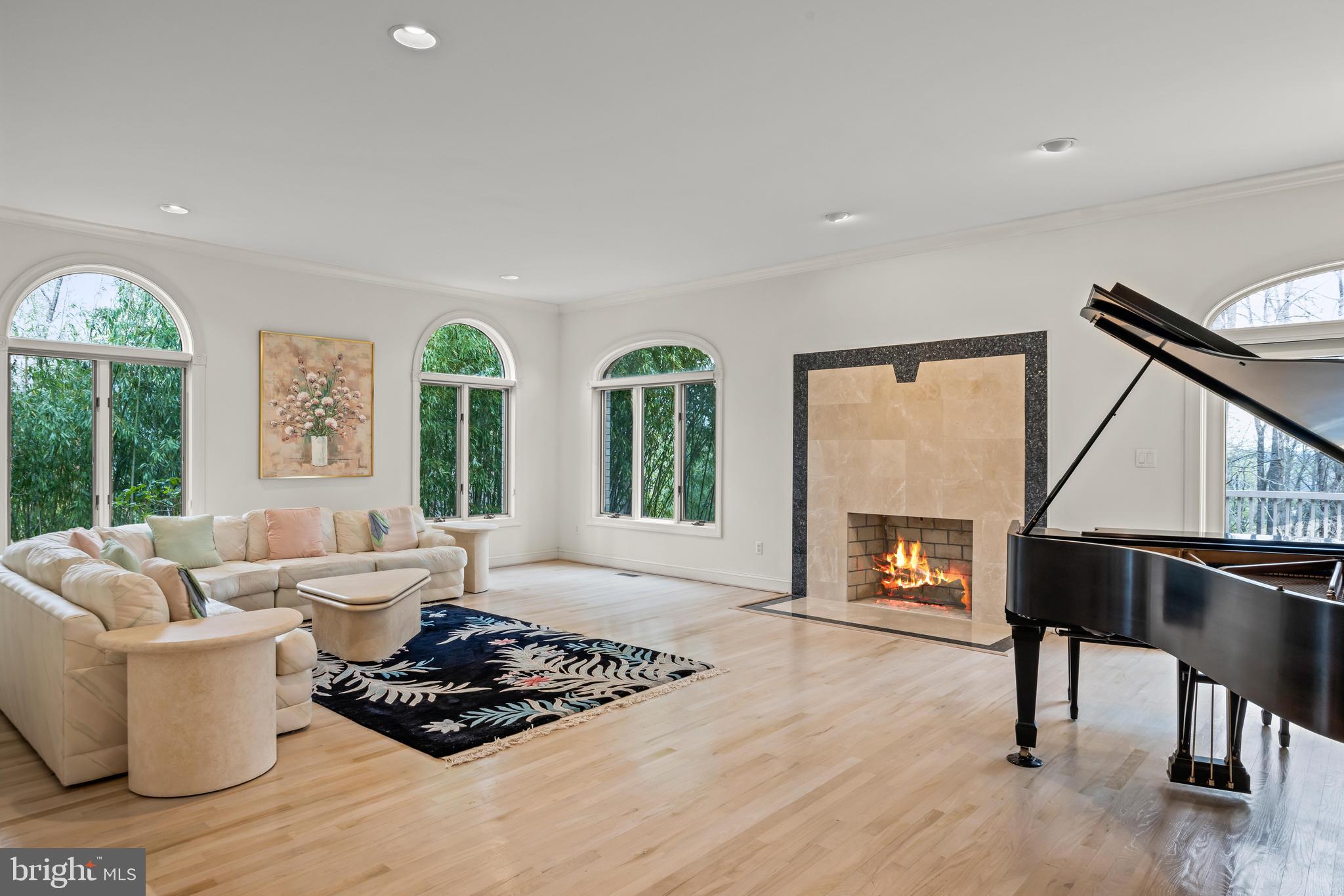 13019 Jerome Jay Drive Cockeysville, MD 21030 - Photo 16 of 61 a living room with furniture and a fireplace