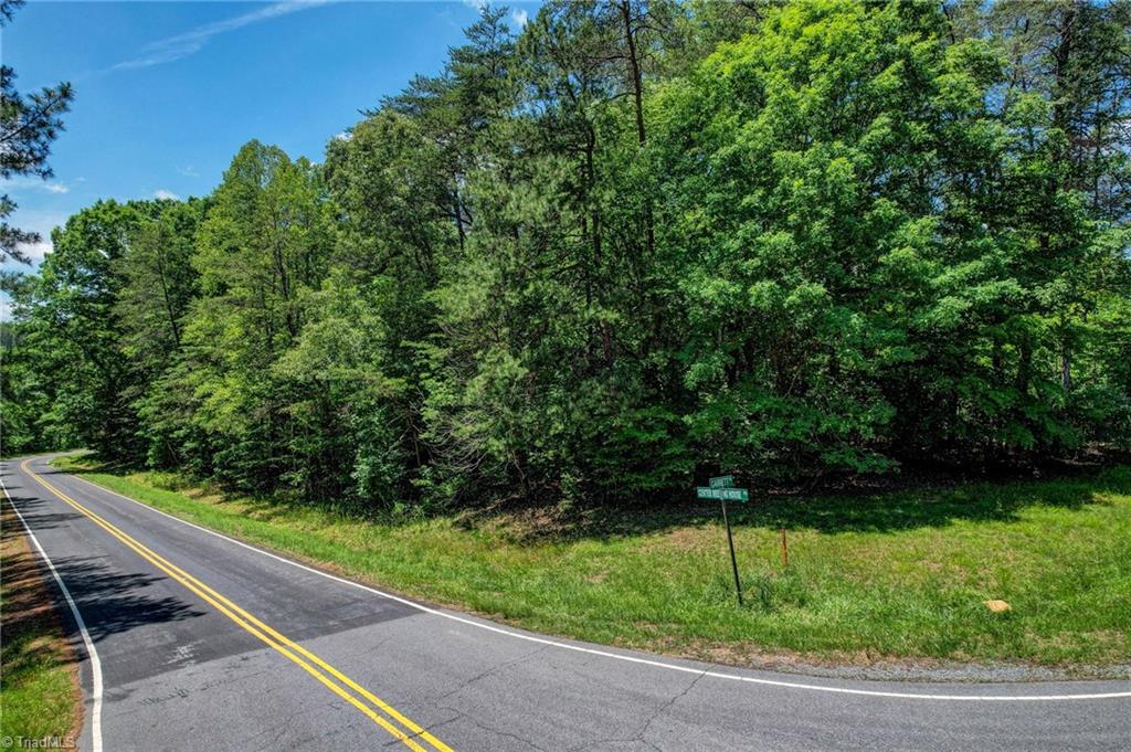 0 Center Meeting House Road Stoneville, NC 27048 - Photo 5 of 9