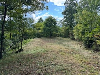 Lot 30 Hickory Cove Road Bryson City, NC 28713 - Photo 5 of 5