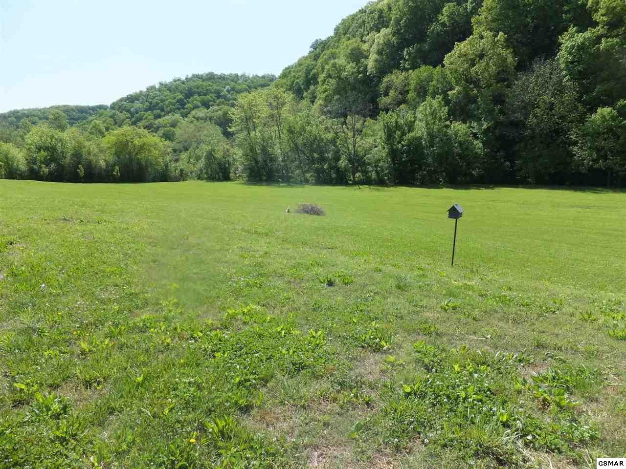 889 Marshall Hollow Road Bybee, TN 37713 - Photo 12 of 24 Gallery Image 12
