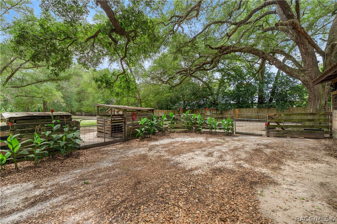 4556 East View Top Lane Inverness, FL 34452 - Photo 39 of 67