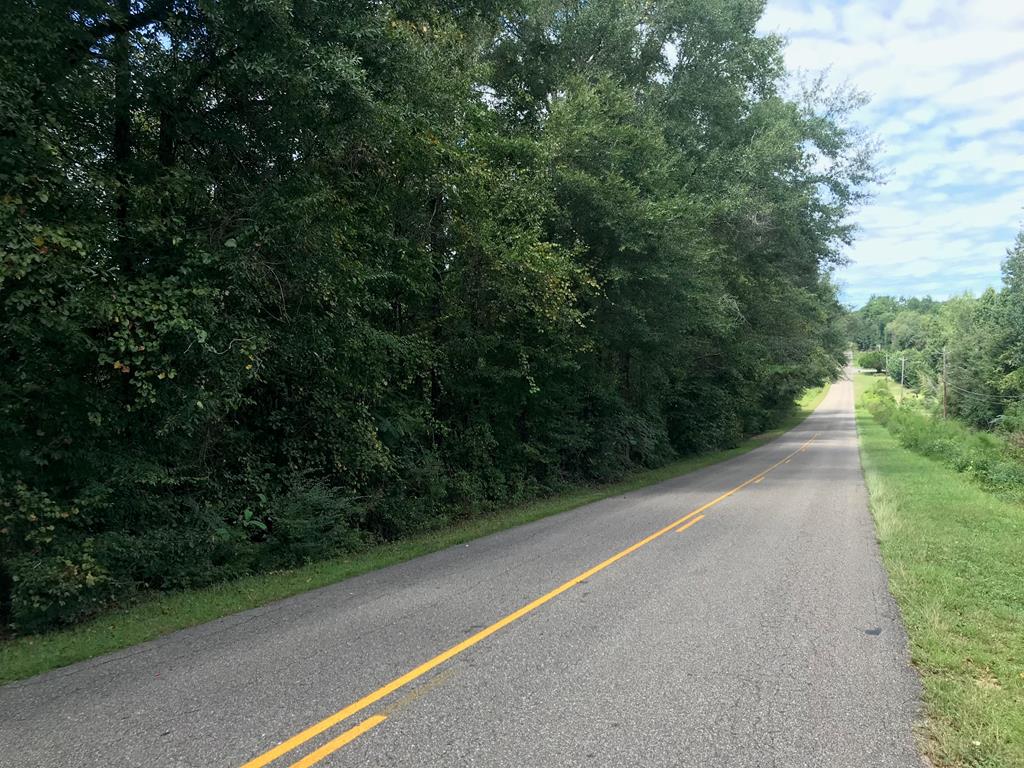 4438 Campground Road Ozark, AL 36360 - Photo 1 of 1