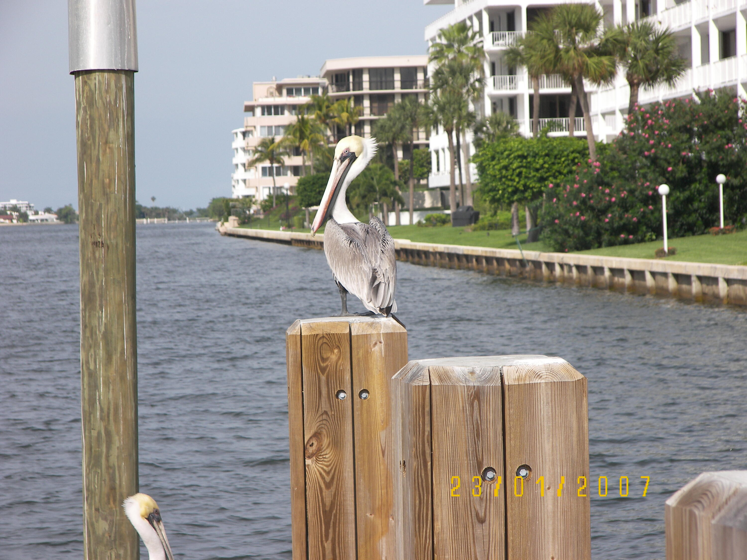 2840 South Ocean Blvd Unit 517