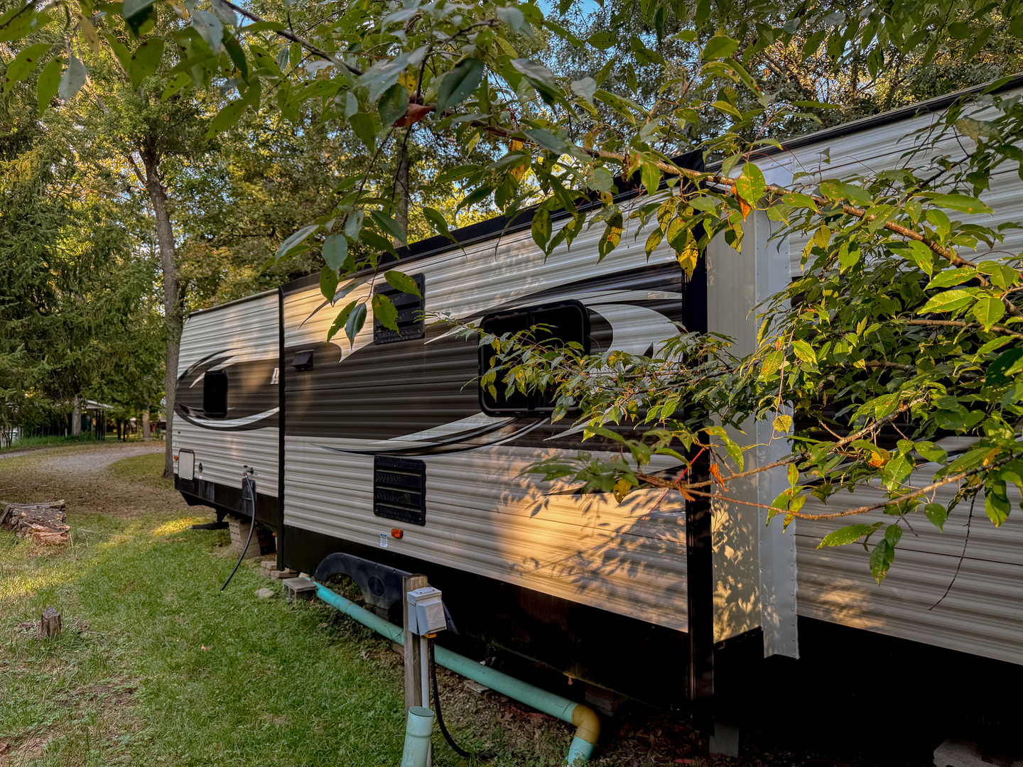 4-176 Woodhaven Sublette, IL 61367 - Photo 5 of 19 a view of a yard with a tree