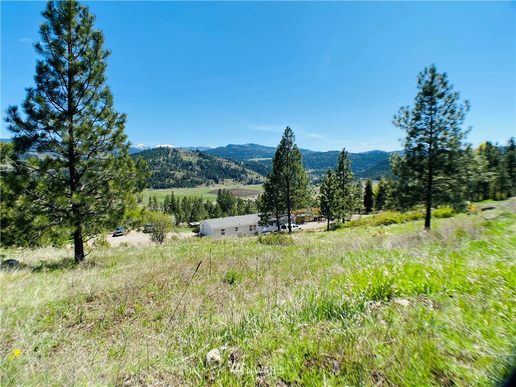 421 Klondike Road Republic, WA 99166 - Photo 22 of 24 a view of a garden with a tree