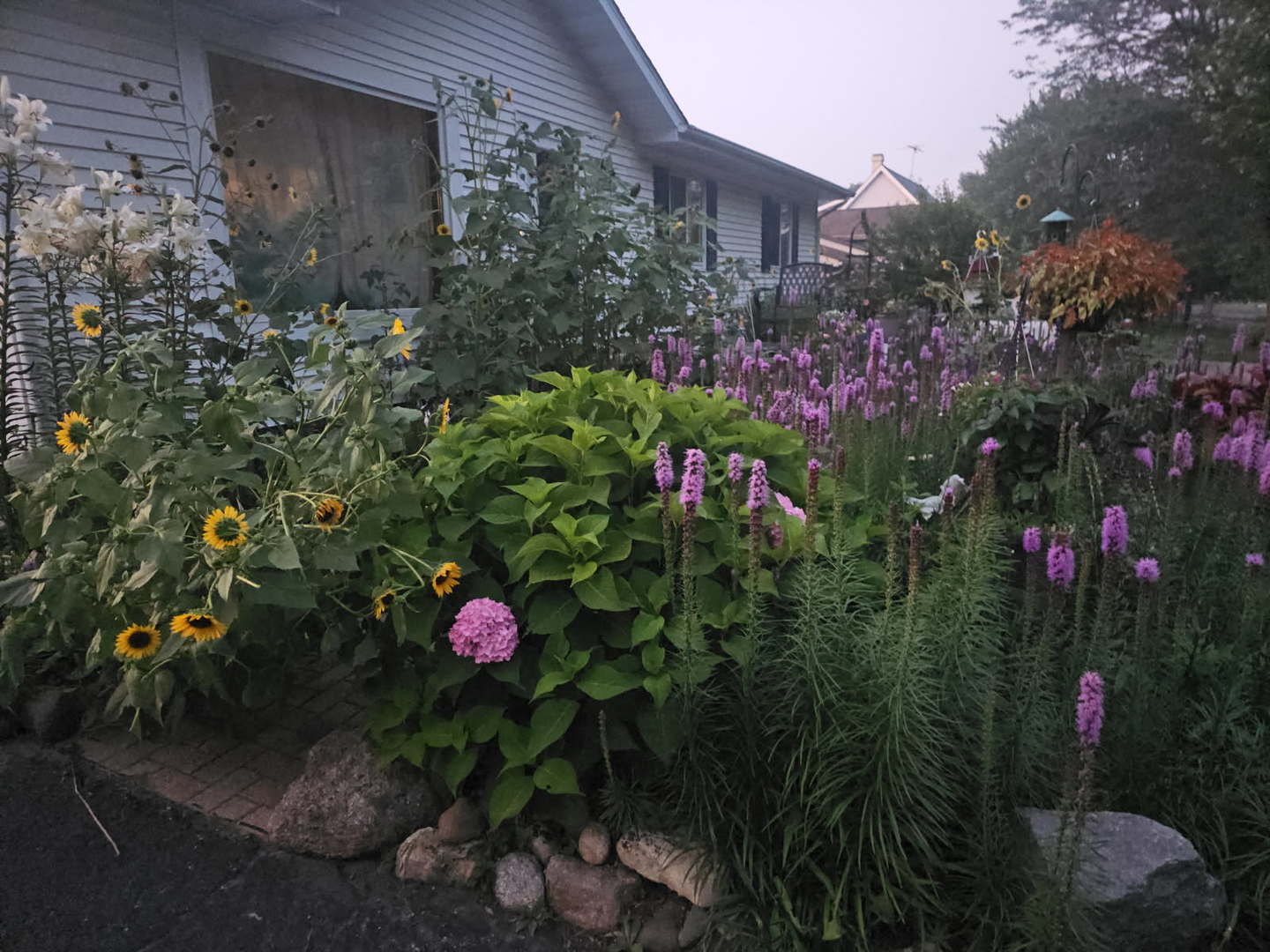 12641 Willow Lane Genoa, IL 60135 - Photo 3 of 29 a view of a flower in a backyard of a house