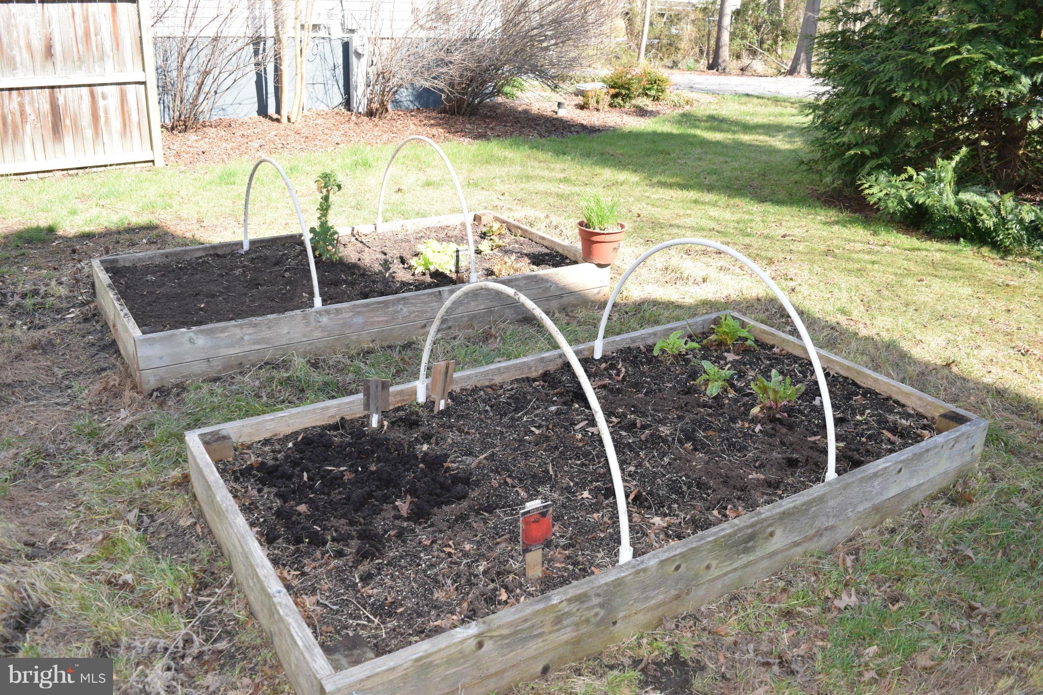 920 Williams Cove Edgewater, MD 21037 - Photo 21 of 30 Garden Boxes